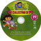 DORA L'EXPLORATRICE-COLLECTION VOL 19